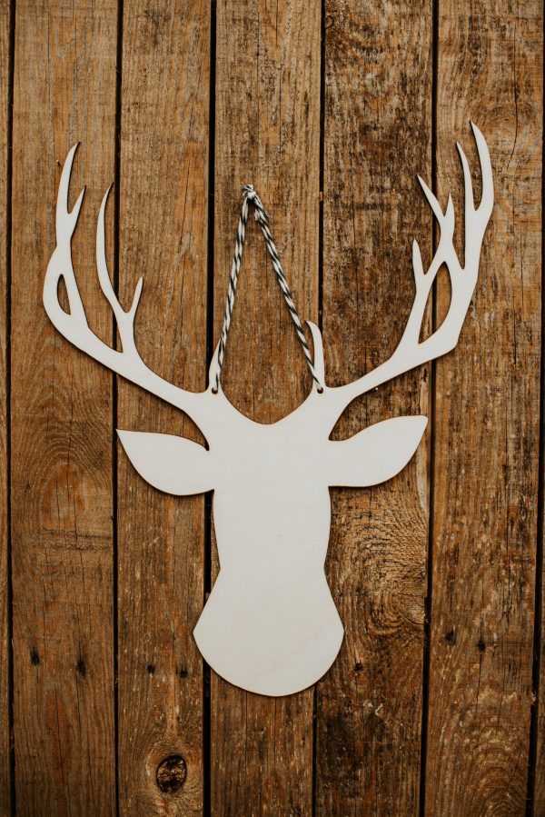 Deer